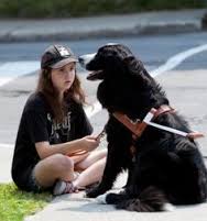 Girl sitting on the ground with her guide dog